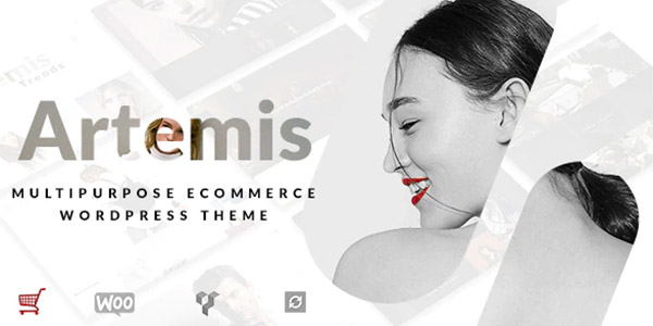 Artemis WordPress Theme