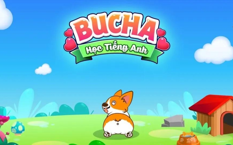 Bucha - App học tiếng Anh hay 