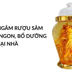 cách ngâm rượu sâm