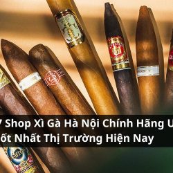 shop xì gà hà nội