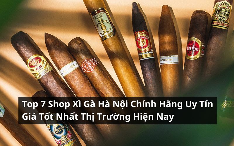 shop xì gà hà nội