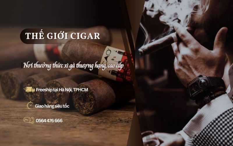 Thế giới Cigar shop xì gà hà nội uy tín