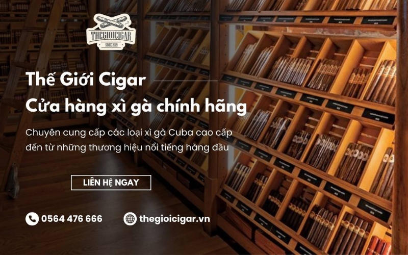 mua xì gà chính hãng tại thegioicigar.vn