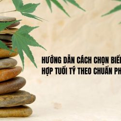 biển số xe hợp tuổi tí