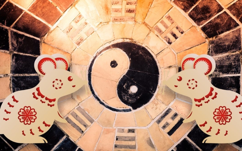 nguyên lý cân bằng âm dương